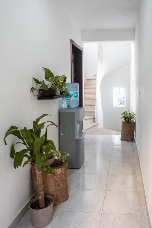 Xiinbal Rooms Bacalar Eksteriør bilde